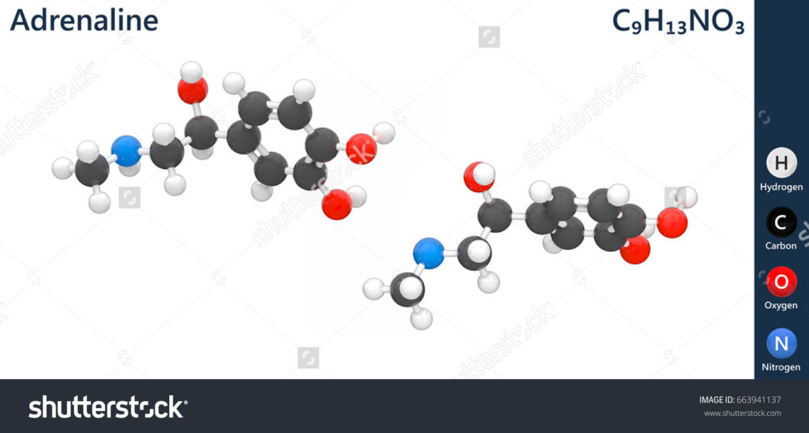 stock-photo-adrenaline-molecule-image-c-h-no-isolated-on-white-background-d-illustration-663941137.jpg