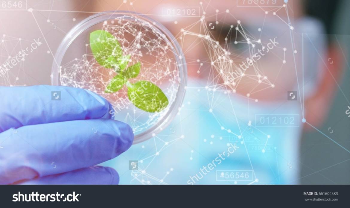 stock-photo-biometric-of-a-scientist-with-futuristic-graphics-and-holography-with-which-scans-and-reads-the-dna-661604383.jpg