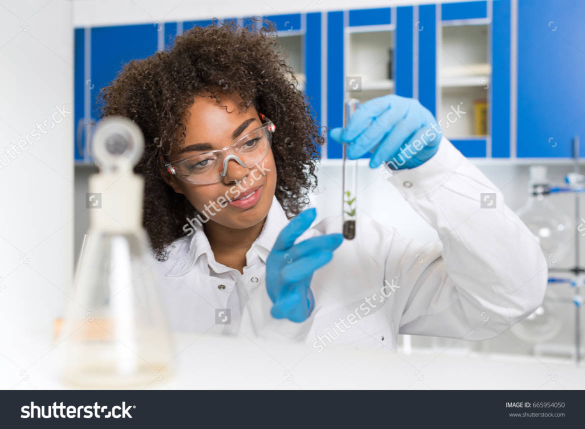 stock-photo-female-laboratory-scientist-examining-plant-sample-in-test-tube-work-in-genetics-lab-african-665954050.jpg