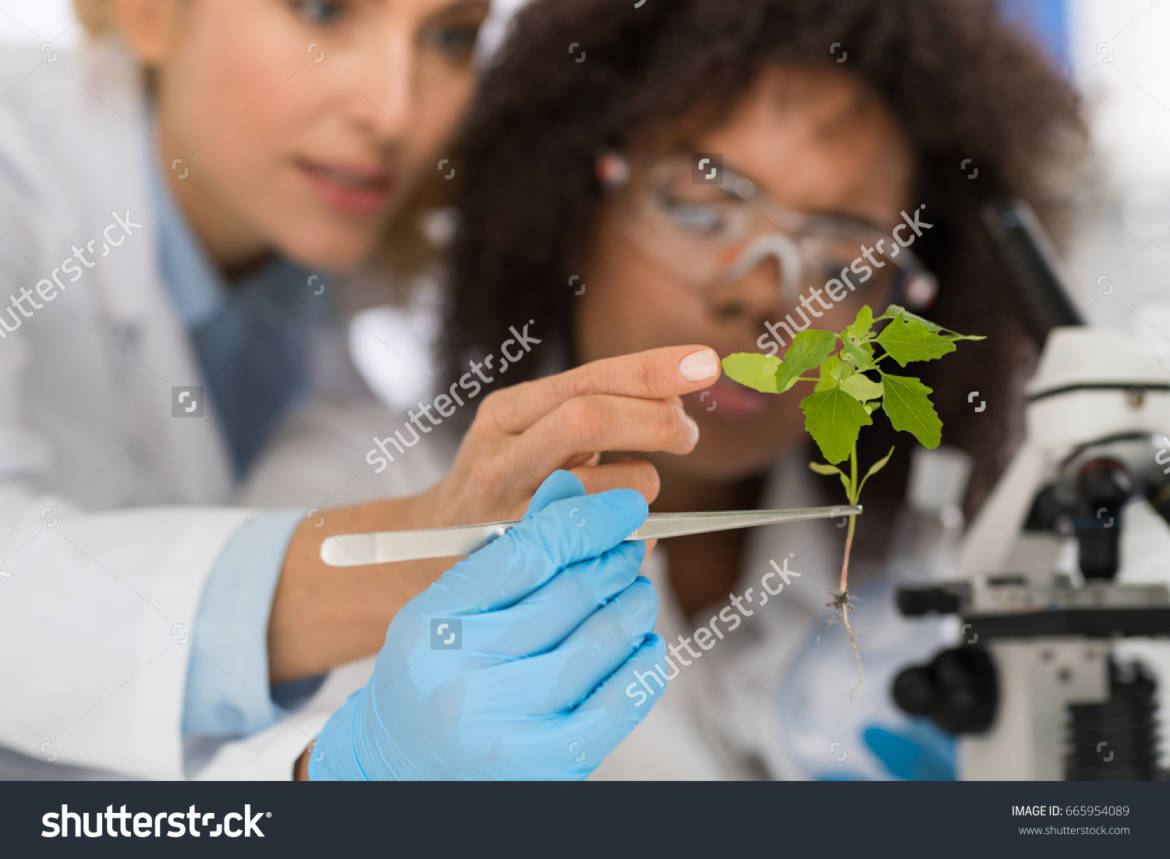 stock-photo-female-scientists-examine-plant-working-in-genetics-laboratory-study-research-two-women-analyze-665954089.jpg
