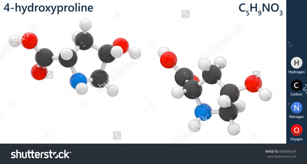 stock-photo-hydroxyproline-c-h-o-n-is-a-common-non-proteinogenic-amino-acid-d-illustration-isolated-on-white-666009244.jpg
