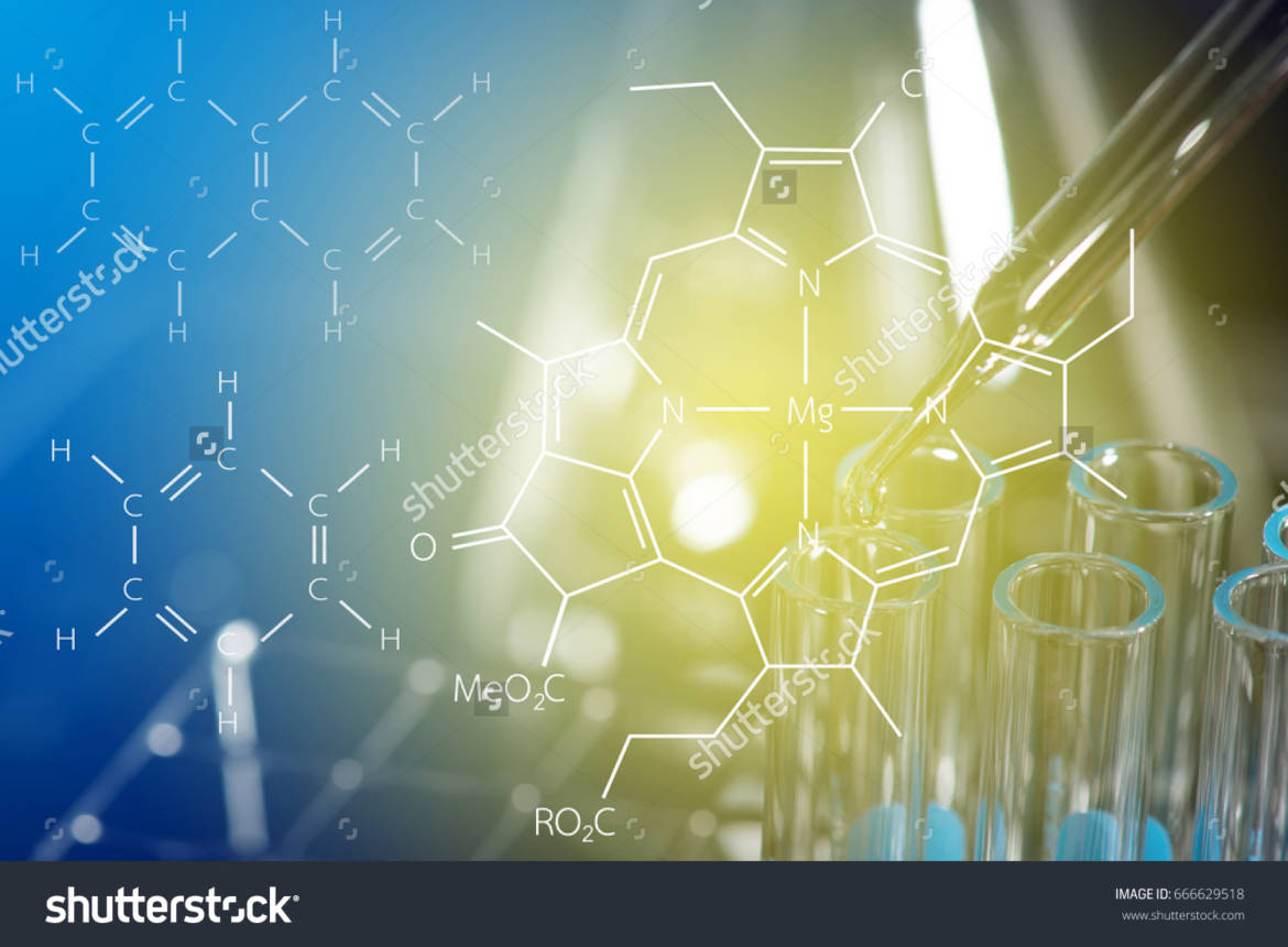 stock-photo-petrochemical-industry-concept-investigator-checking-test-chemical-tubes-666629518.jpg
